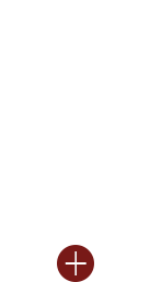 森源園林-綠化工程施工養(yǎng)護(hù)技術(shù)標(biāo)準(zhǔn)要求