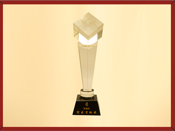 突出貢獻(xiàn)獎(jiǎng)